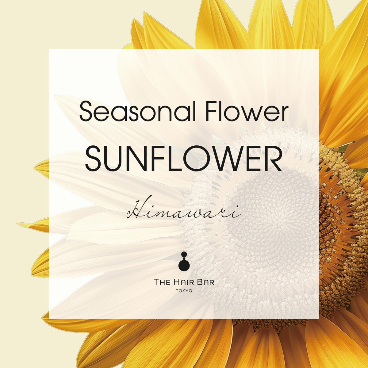 Seasonal Flower SUNFLOWER | THE HAIR BAR TOKYO