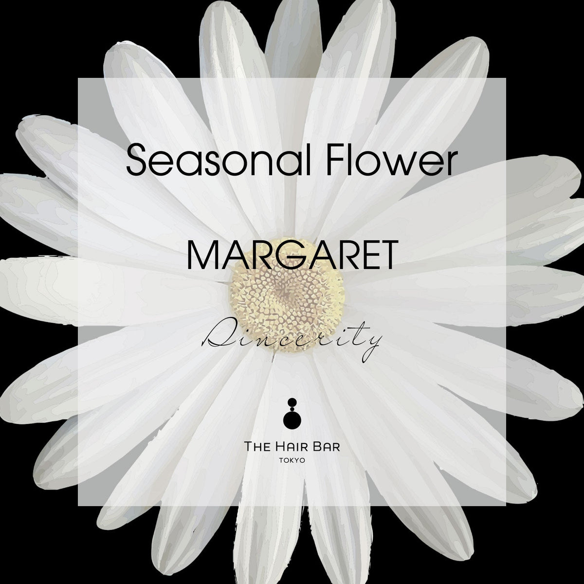 Seasonal Flower MARGARET