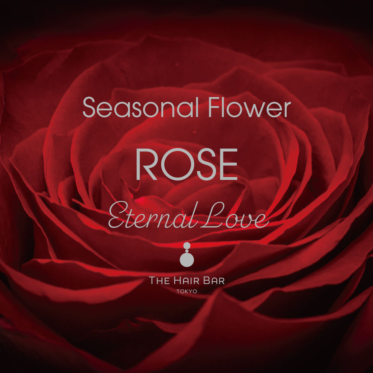 Seasonal Flower Rose | THE HAIR BAR TOKYO