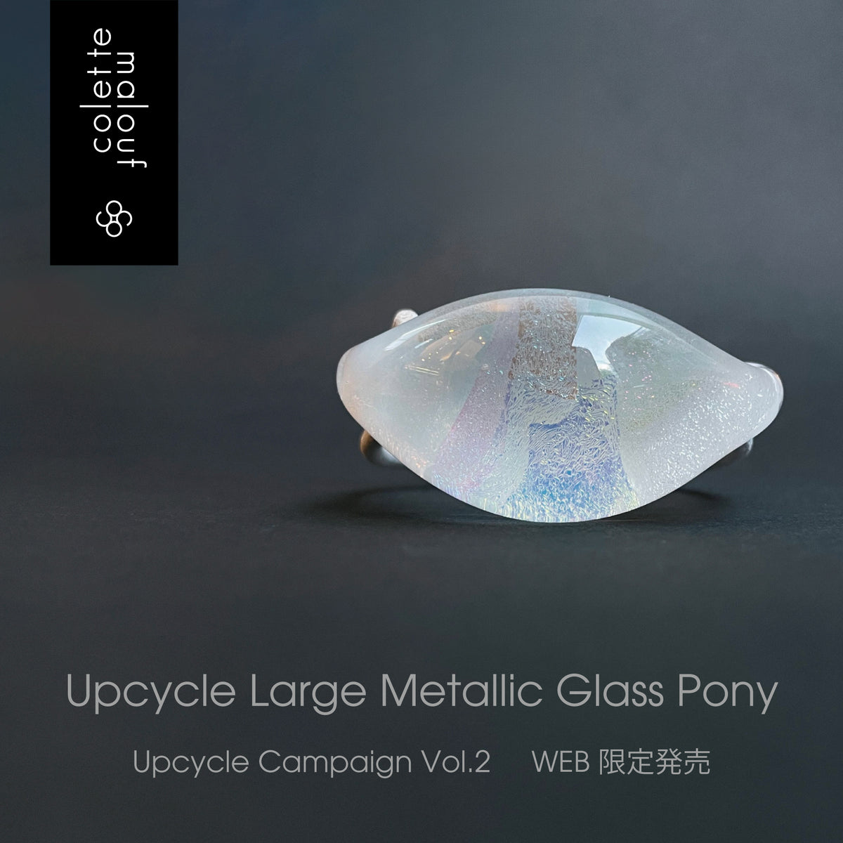Upcycle Glass Pony Web Limited | THE HAIR BAR TOKYO