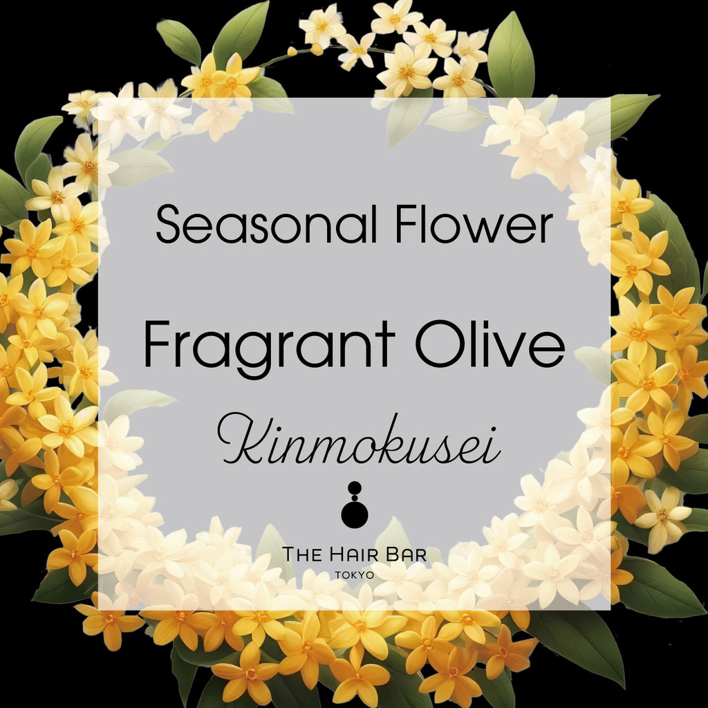 Seasonal Flower Fragrant Olive