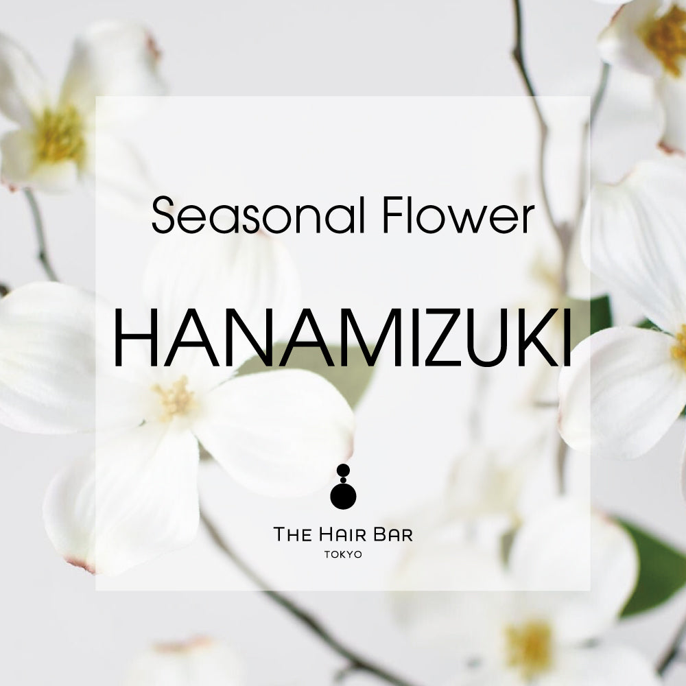 Seasonal Flower HANAMIZUKI
