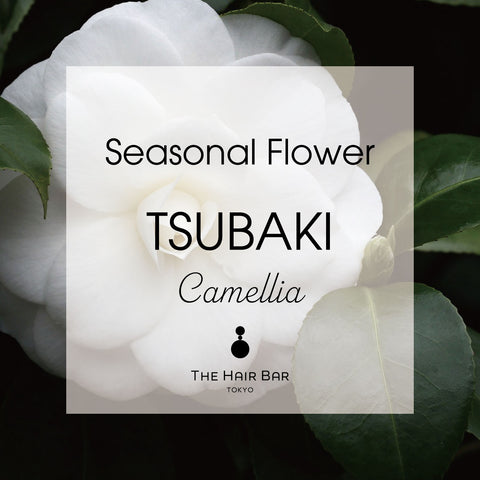 Seasonal Flower TSUBAKI | THE HAIR BAR TOKYO