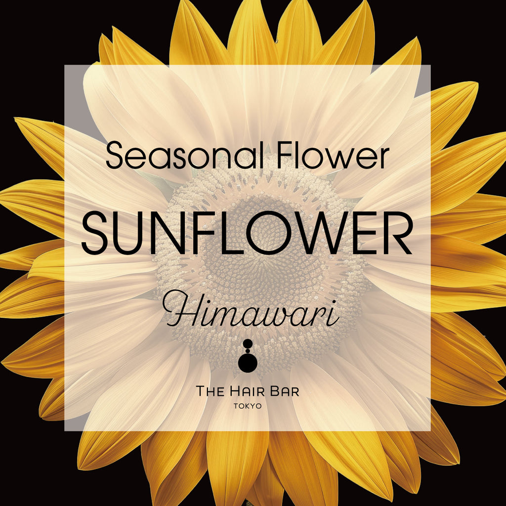 Seasonal Flower Sunflower