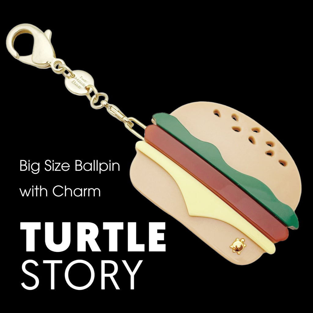 TURTLE STORY with Charm