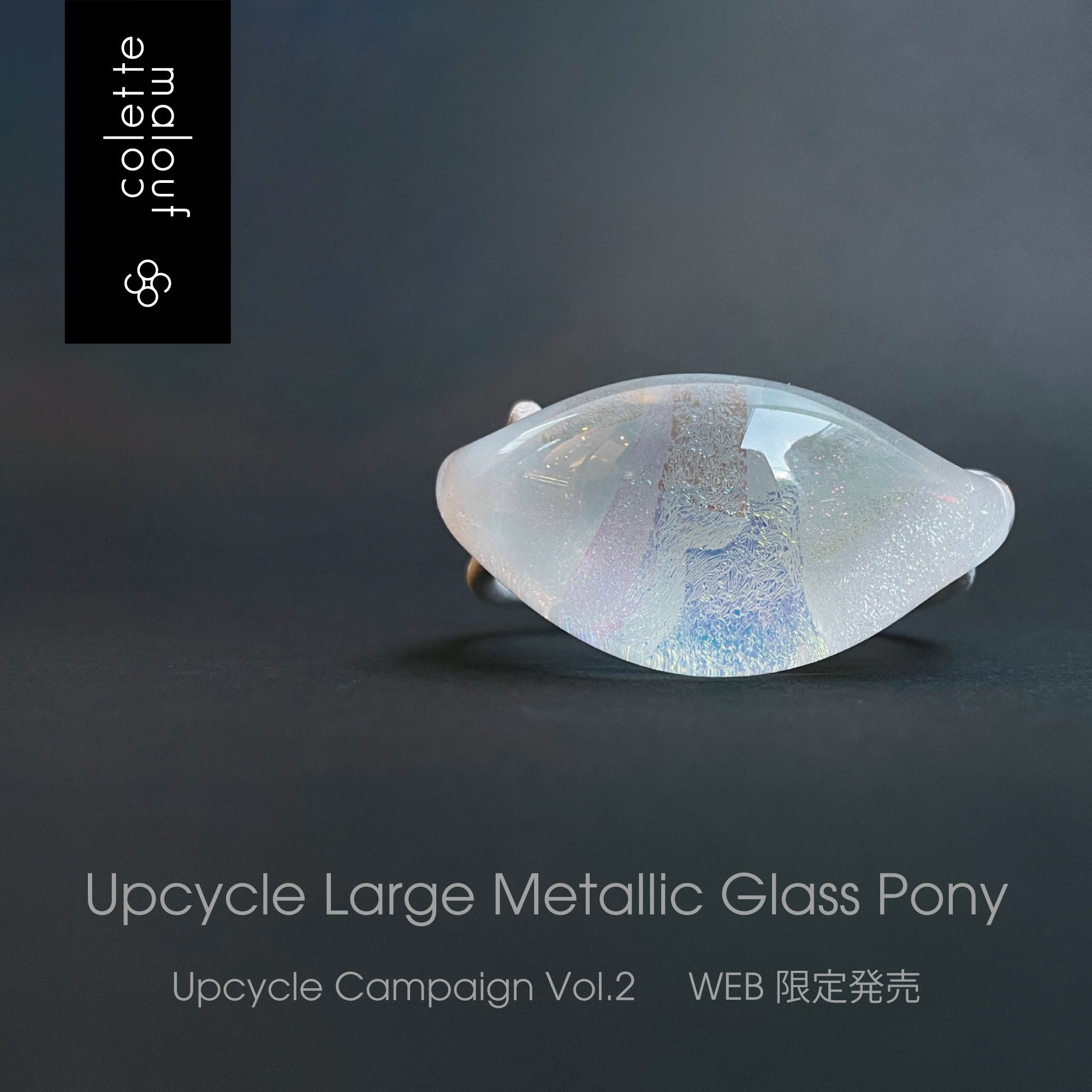 Upcycle Glass Pony Web Limited