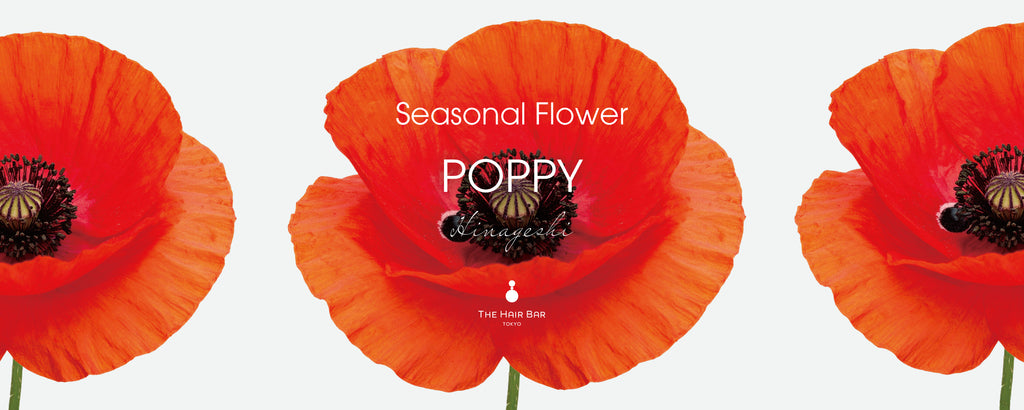 POPPYバナーTOP-白.jpg__PID:082e12ea-8788-46af-8c2c-2a21ac45090c