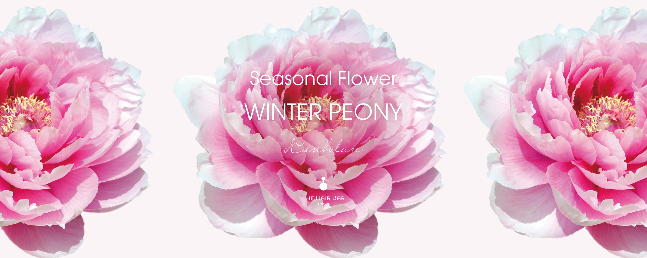 THE HAIR BAR TOKYO（ザヘアバートウキョウ）公式オンラインストア