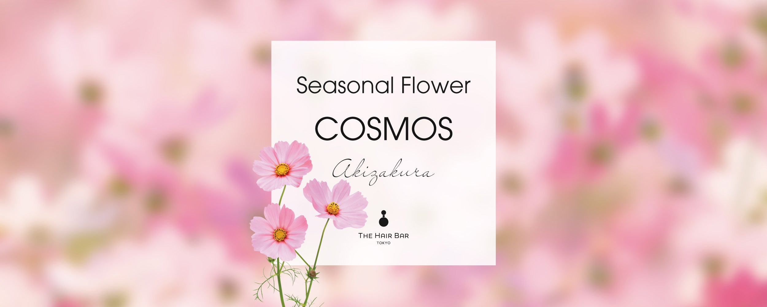 THE HAIR BAR TOKYO（ザヘアバートウキョウ）公式オンラインストア