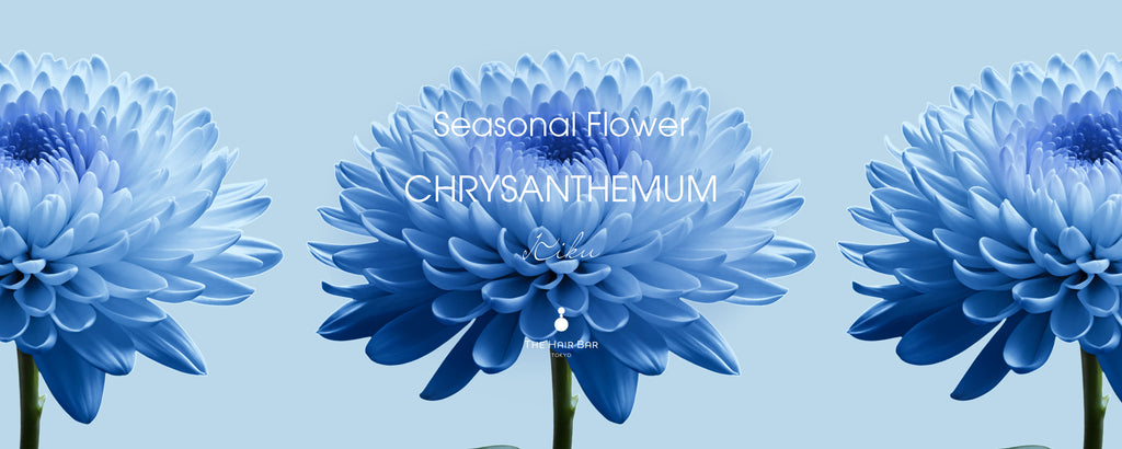 バナーTOP.jpg__PID:4e037b1f-3ee0-4a65-a734-fe8196c818c7