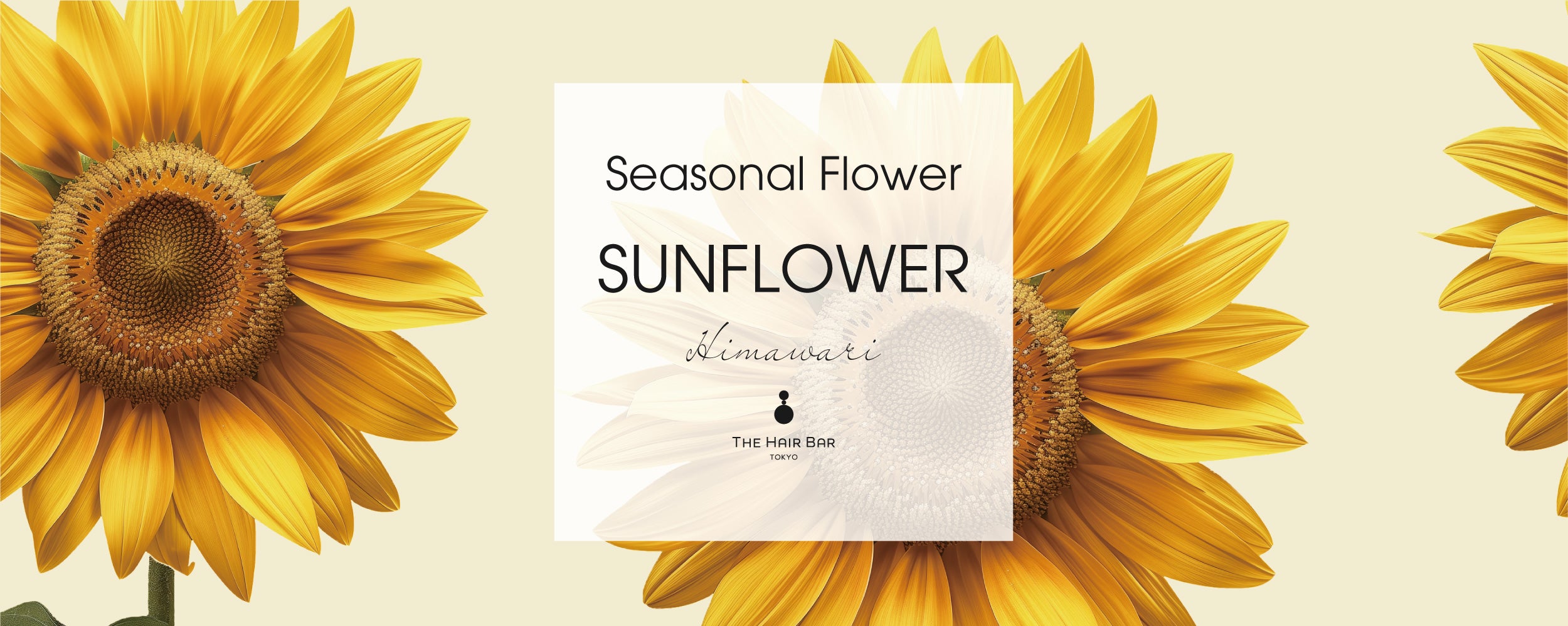 ◇新品◇ザヘアバートウキョウ フレグラントオリーブボビーピン キンモクセイ金木犀 Seasonal Flower Fragrant Olive | THE HAIR BAR TOKYO